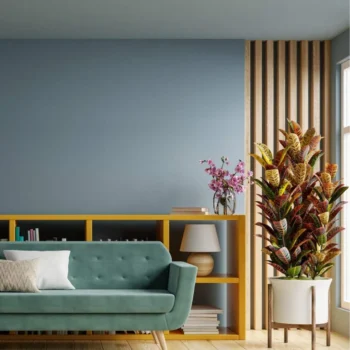 Quelle couleur de mur avec des meubles en bois